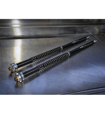 Cartucho Andreani - Misano EVO Para Yamaha Tenere 700