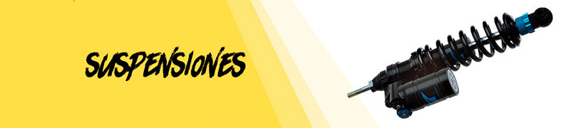 Suspensiones para BMW R 850/1100/1150 GS/Adv